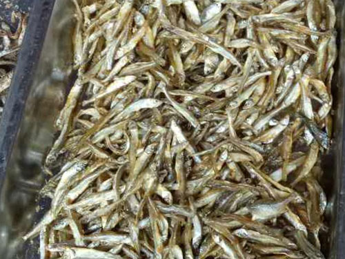 東江小魚仔 東江小魚仔